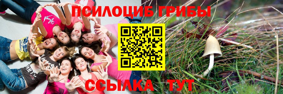 Галлюциногенные грибы MAGIC MUSHROOMS Белово