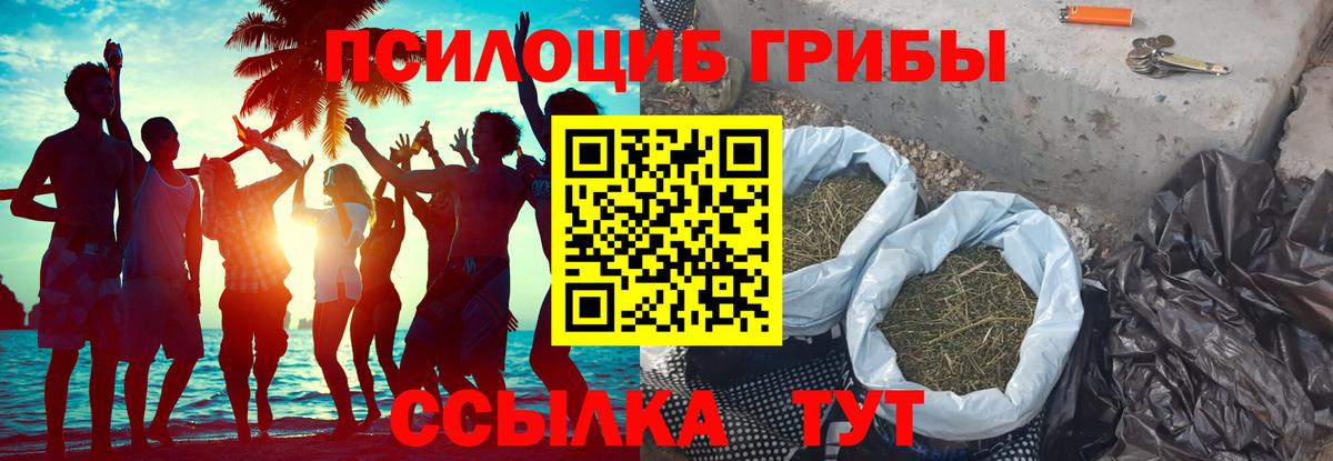 Белово  Галлюциногенные грибы ЛСД  Псилоцибиновые грибы Psilocybe  Вход с VPN 